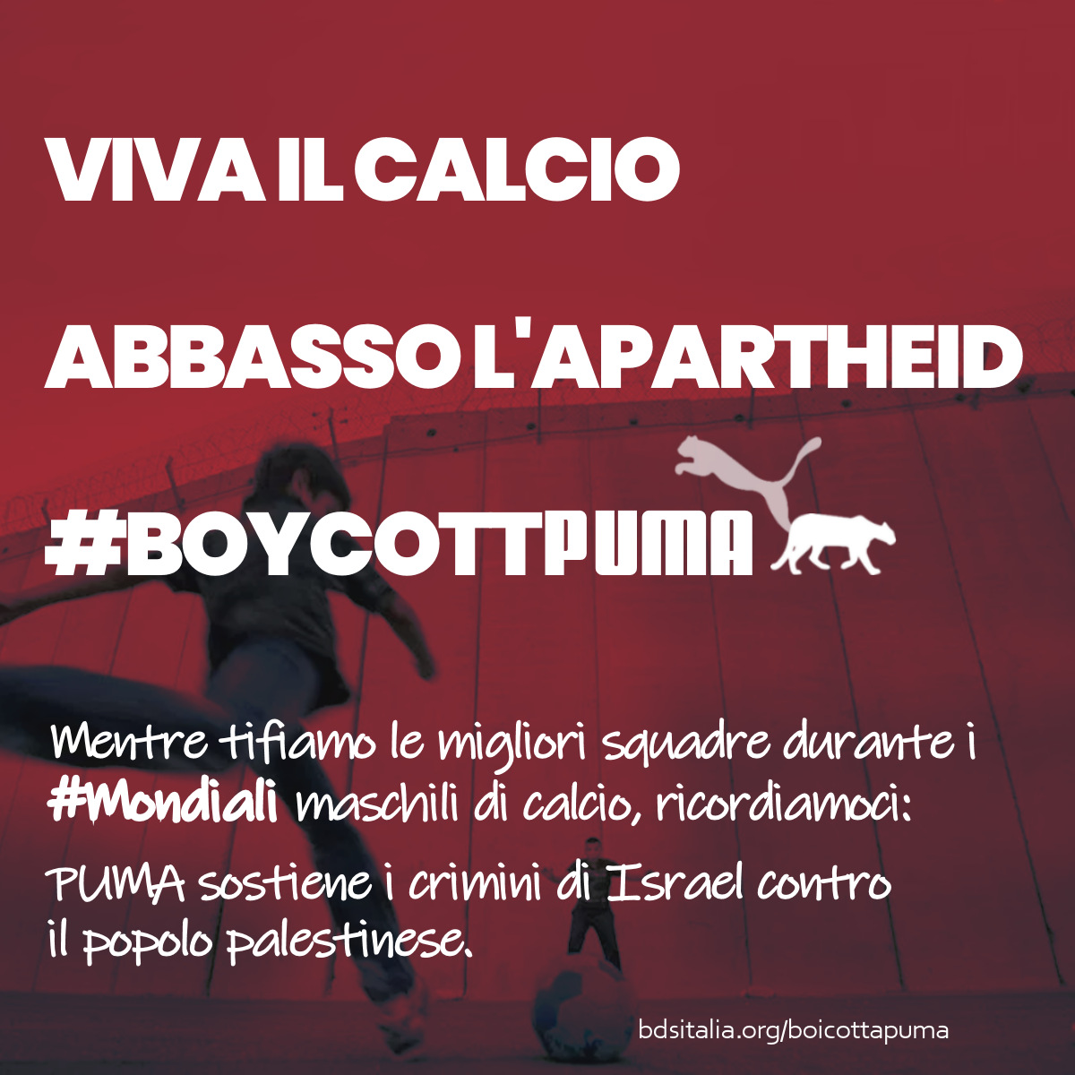 love football hate apartheid boycott puma